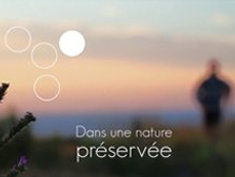 « Belle île en trail » 2012 BA